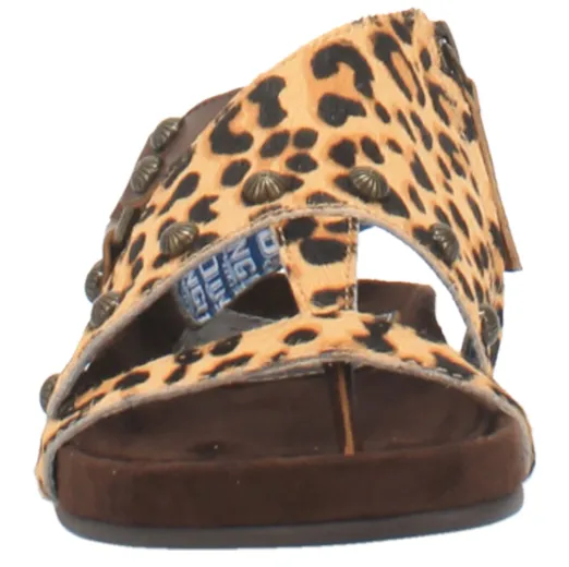 Dingo Women's Sage Brush - Leopard