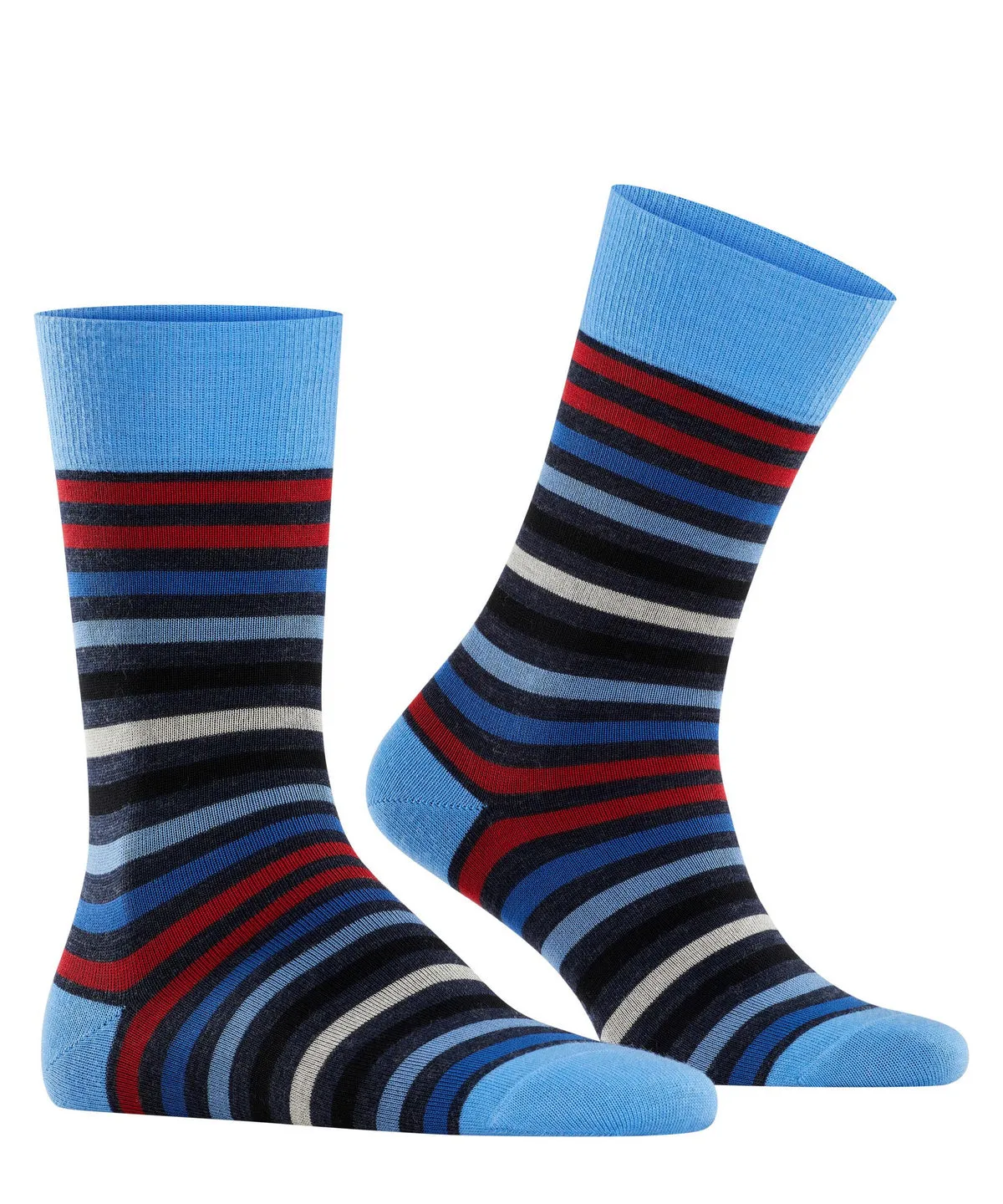 Falke 13279 6278 Tinted Stripe Sock Dark Sapphire/Scarlett