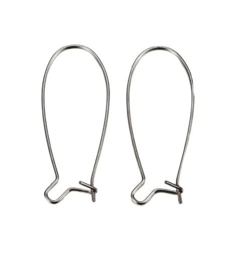 Stainless Steel Kidney Ear Wire Earring Hooks