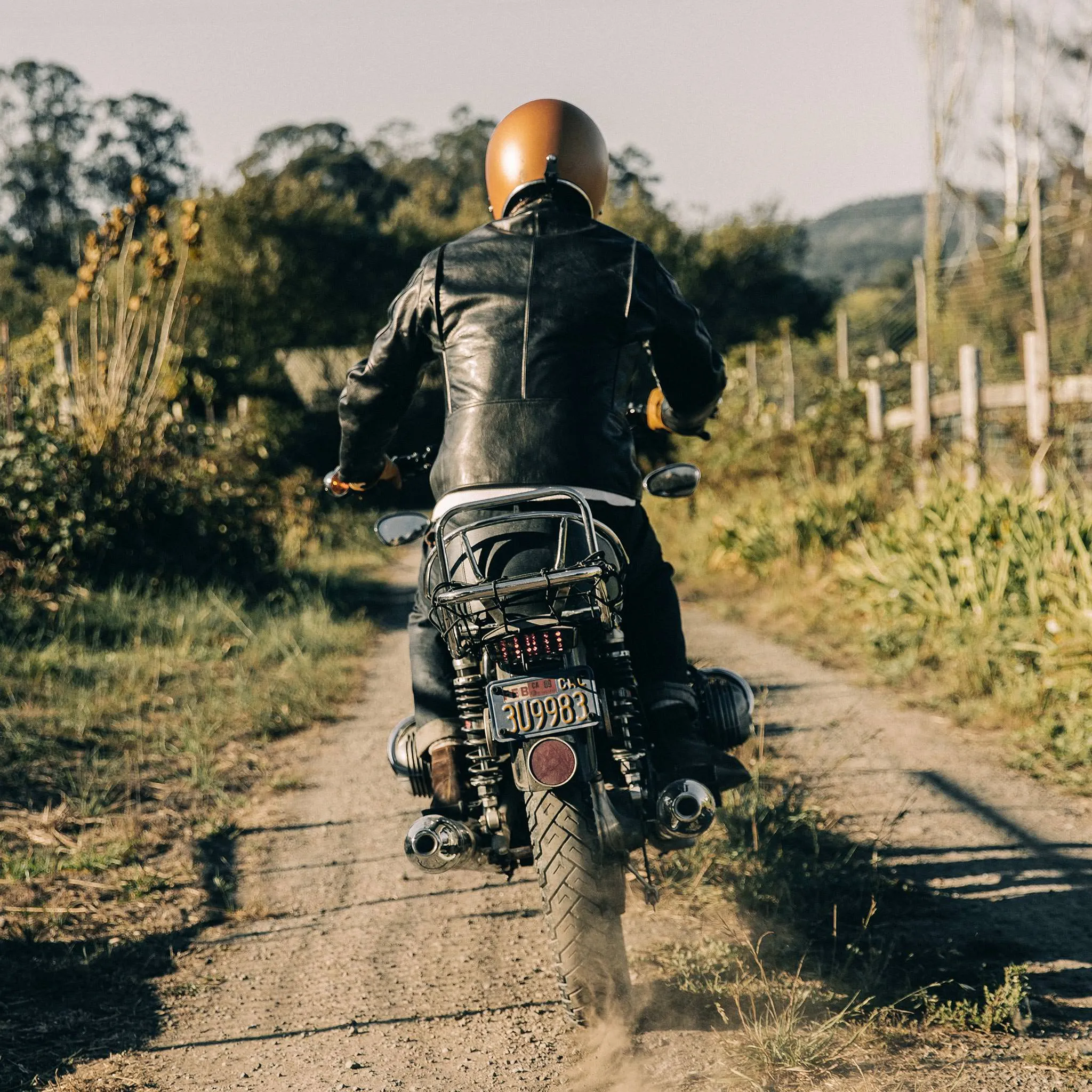 The Band Collar Moto Jacket in Black Steerhide